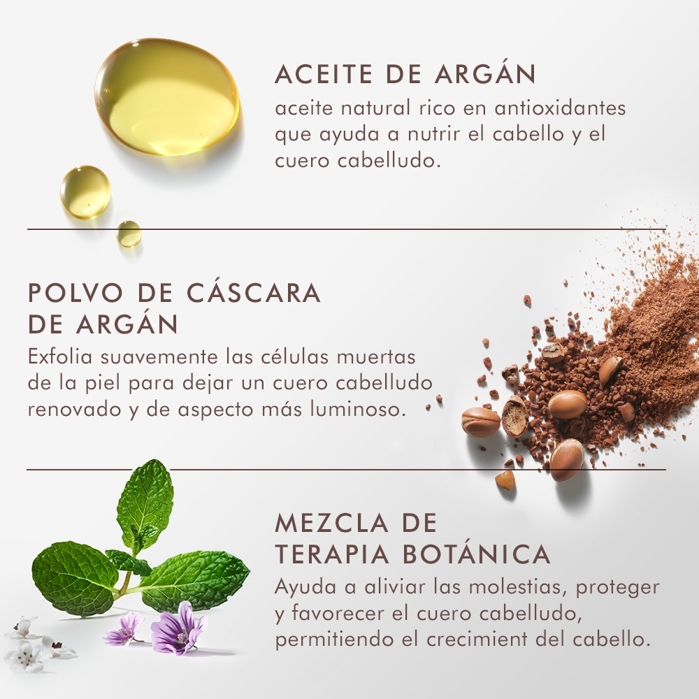PURIFYING PRE-WASH SCALP SCRUB (EXFOLIANTE PARA CABELLO)